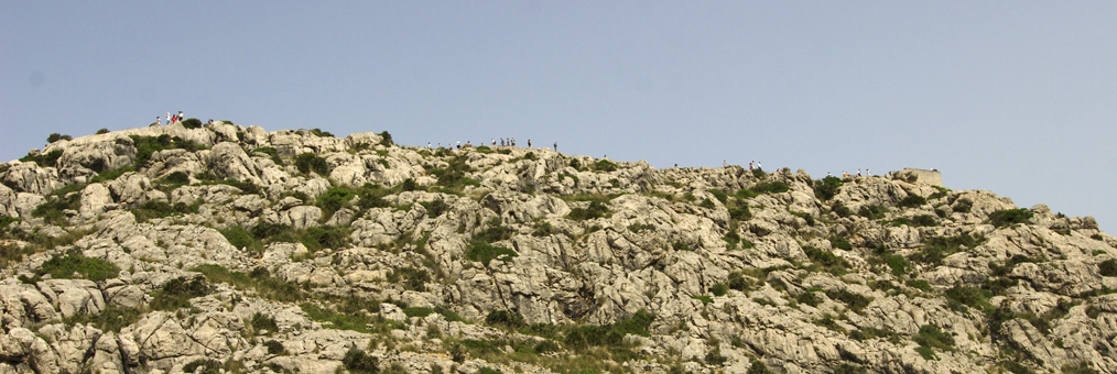 CRW_4024 Kolonne.jpg